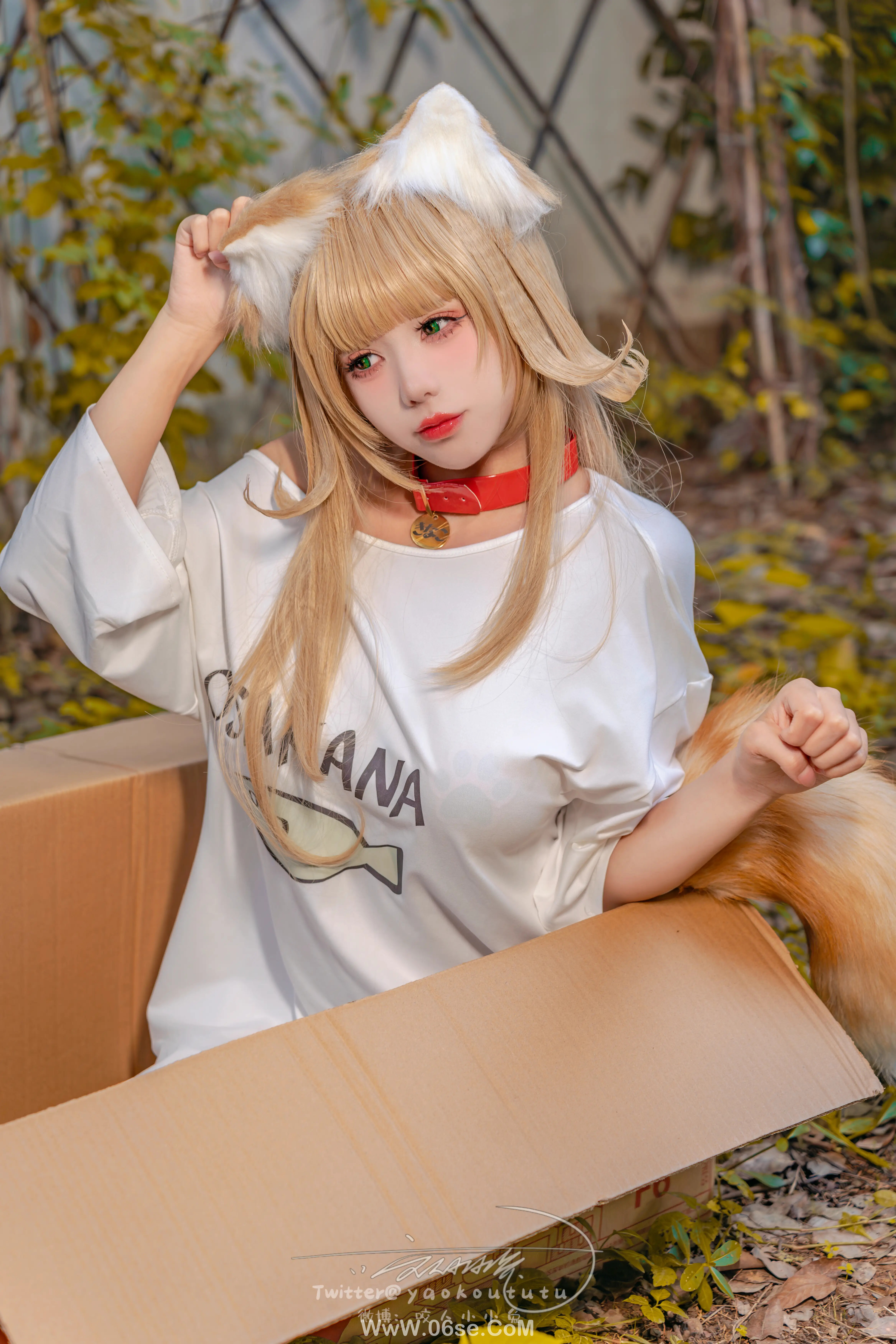 咬一口兔娘 捡到一只黄豆粉